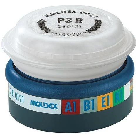MOLDEX Filtres A1B1E1K1HgP3RD Pour Serie 7000 + 9000 (Par 6) 1 MOLDEX Filtres A1B1E1K1HgP3RD Pour Serie 7000 + 9000 (Par 6)
