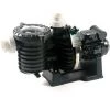Pompe Piscine - Sta-Rite 5P6R - 1 CV - Mono - Eau Douce De Pentair