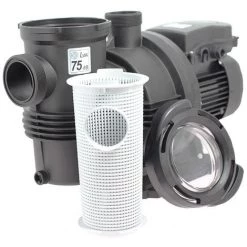 Pompe Piscine - Naiade 22 Mono De Espa