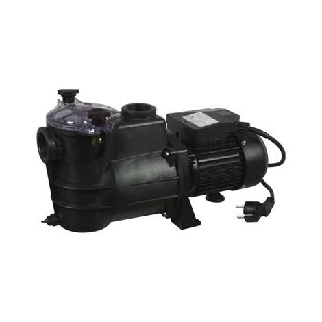 DESTOCKOUTILS Pompe De Filtration Pour Piscine 1000 W Ribiland - 10.3 M3/h 1 DESTOCKOUTILS Pompe De Filtration Pour Piscine 1000 W Ribiland - 10.3 M3/h