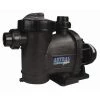 Pompe Astral Glass Plus 0,75 CV / 12,50 M³/h Tri - Astral Pool