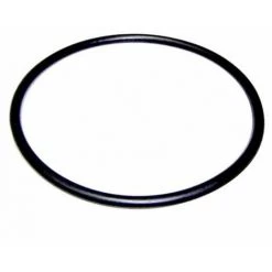 Plantawa Joint Torique Préfiltre Pour Pompe De Piscine Victoria Plus Remplacemente Parfaite Étanchéité Astralpool