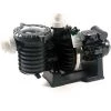 Pompe Piscine - Sta-Rite 5P6R - 1 CV - Tri - Eau Douce De Pentair