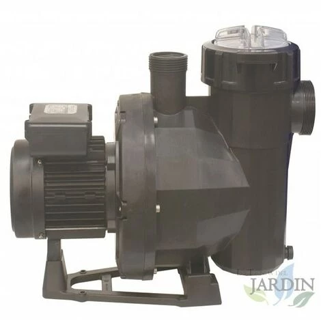 SUINGA Pompe De Piscine Auto-amorçante, Modèle Au Choix - 2 1 SUINGA Pompe De Piscine Auto-amorçante, Modèle Au Choix - 2