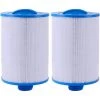 LONGZIMING Cartouche De Filtre De Spa 2 Pièces, Pour Filtre À Remous Pleatco Pww50 , Filtre De Spa Pour Filtre De Remplacement Unicel 6ch-940 Spa Business Whirlpool