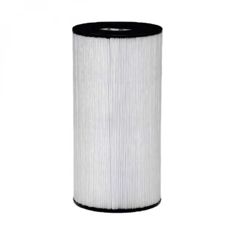 Cartouche De Filtration Pour Filtre De Piscine C500 - CX500RE - Hayward - Blanc 1 Cartouche De Filtration Pour Filtre De Piscine C500 - CX500RE - Hayward - Blanc