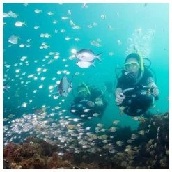 SUINGA Yamaha Seascooter RDS280 Propulseur Aquatique -Pompe et filtre de piscine Soldes 58193424 3