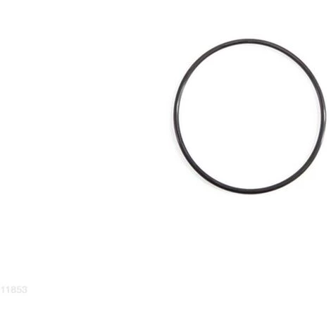 INTEX ELETROLYTIC CELL O-RING FOR 28423/28424 1 INTEX ELETROLYTIC CELL O-RING FOR 28423/28424