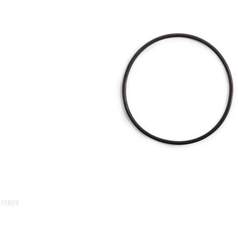 INTEX LEAF TRAP O-RING FOR 12" SAND FILTER PUMP 1 INTEX LEAF TRAP O-RING FOR 12" SAND FILTER PUMP