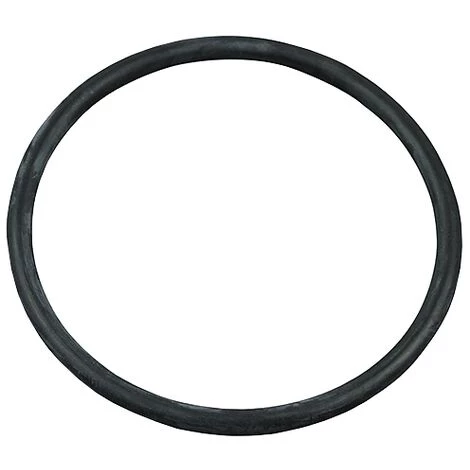 Joint Torique Diffuseur Pompes Piscine Astralpool 1 Joint Torique Diffuseur Pompes Piscine Astralpool