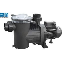 Pompe De Piscine Winner 3 CV Triphasée Saci Pumps
