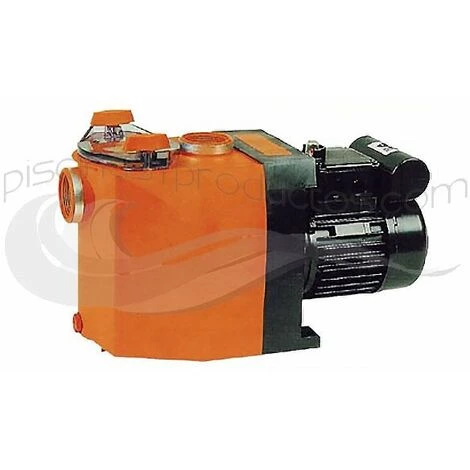 Pompe Badu 30/13 1 CV Triphasée Speck 1 Pompe Badu 30/13 1 CV Triphasée Speck