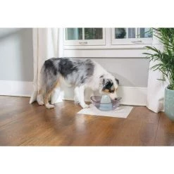 PERLE RARE Filtre En Mousse De Rechange (Pack De 2) - Fontaines En Céramique, Plastique Et Fontaines Drinkwell 360 En Acier -Pompe et filtre de piscine Soldes 65797033 5