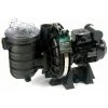 Pompe De Filtration Piscine Pentair Sta-rite 0.75 Cv Mono 5p2rd-1