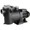 Pompe Piscine - Discovery - 1,5 CV Mono De Astralpool