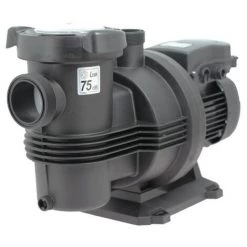 Pompe Piscine - Naiade 15 Mono De Espa